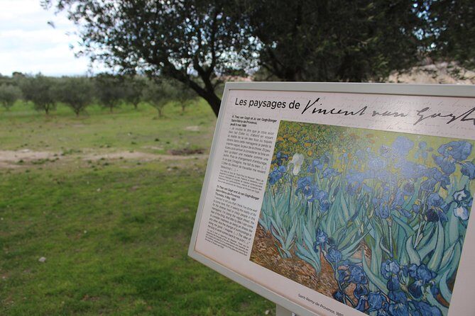 In the footsteps of Van Gogh in Provence from Avignon - A Deep Dive into the Experience