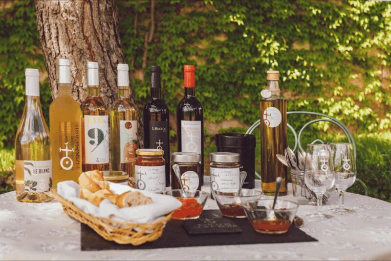 In the skin of a winemaker - Key Points