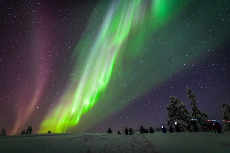 Inari: Northern Lights Hunt Snowmobile Safari - Key Points