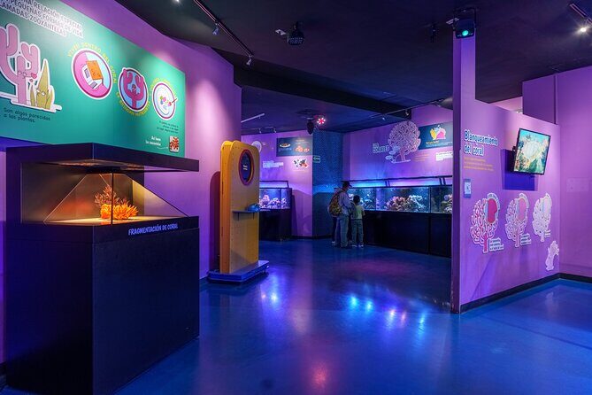 Inbursa Aquarium ticket - Practical Tips for Your Visit