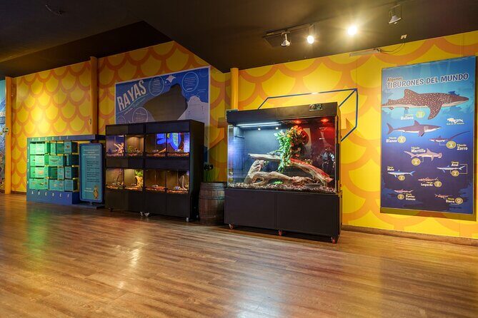 Inbursa Aquarium ticket - Who Should Consider This Experience?