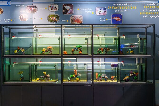 Inbursa Aquarium ticket - FAQ