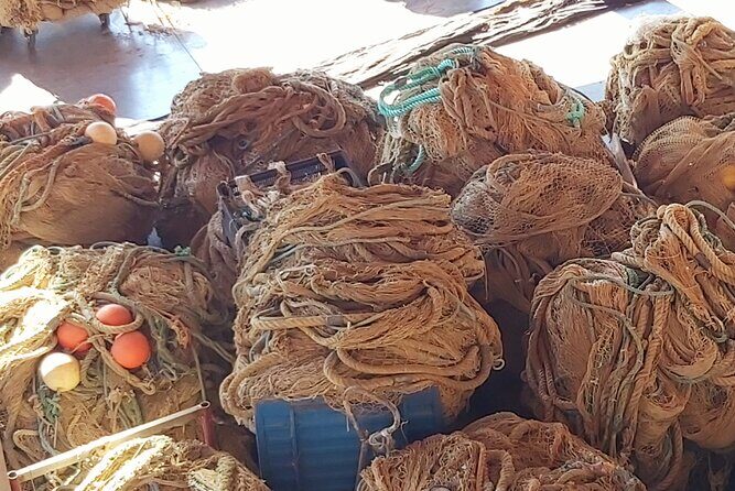 Incitur tours Civitavecchia with you! Walking Tour - Final Thoughts