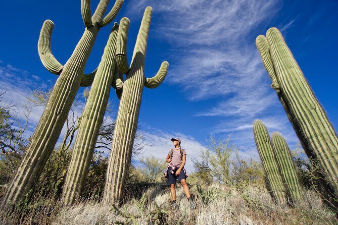 Incredible Hidden Valley Guided Hike in Phoenix, Arizona - Cancellation and Weather Policy