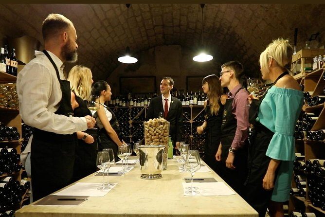 Incredible Loire castles tour with Wine tastings and Lunch - Who Will Love This Tour?