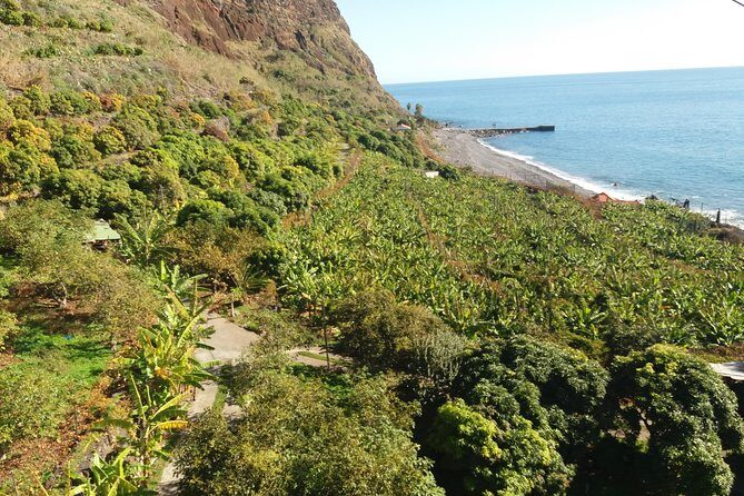 Incredible tour to a 'Faja' with a story - Final Thoughts: Who Will Love This Experience?