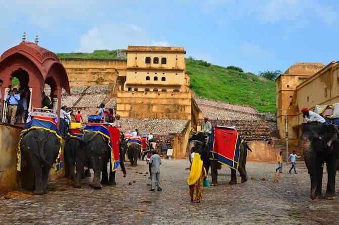 India Forts & Palaces With Tigers Rajasthan Tour - 17 Days - Practical Considerations and Value
