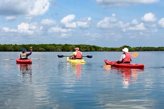 Indian River Lagoon Preserve Kayak Tour - Key Points