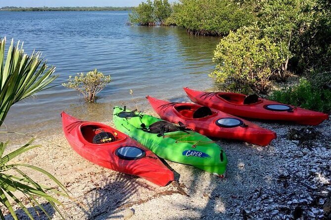 Indian River Lagoon Preserve Kayak Tour - Who Will Love This Experience?