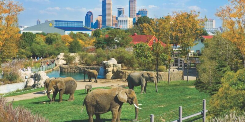 Indianapolis: 3-Day Indy Attraction Pass - What’s the Experience Actually Like?