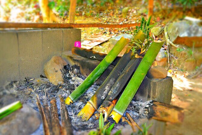 indigenous Forest experience Manila - Key Points