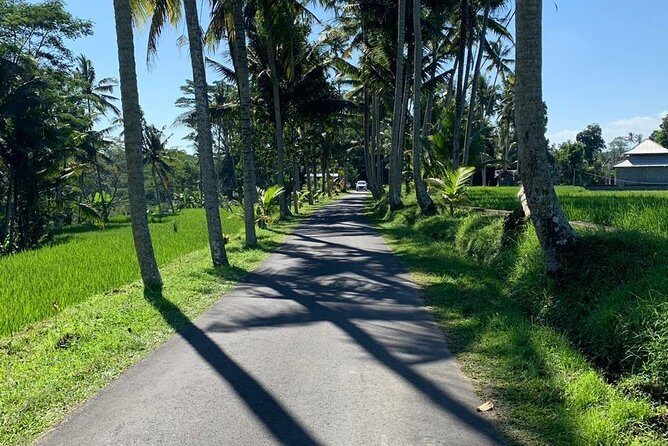 Individual Bali Day Trip with Private Driver and Free WiFi - Who Is This Tour Best For?