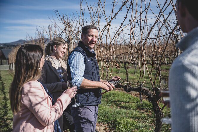 Indulge with Swinging Bridge - The Practical Side: What You Need to Know