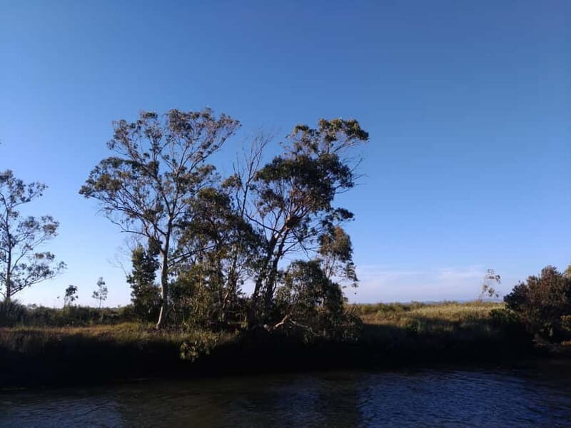 Industry or Nature Boat Tour | Speedboat - An In-Depth Look at the Speedboat Experience