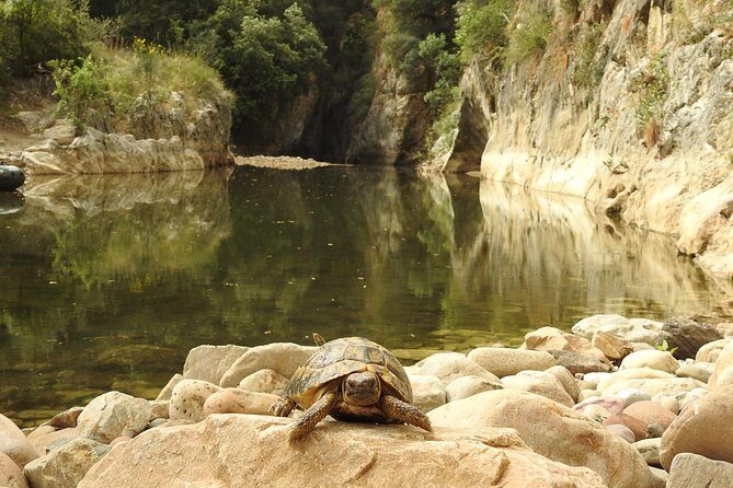 Inflatable boat excursion Gole di Tiberio on the Madonie near Cefalù - The Practicalities: Logistics and Considerations