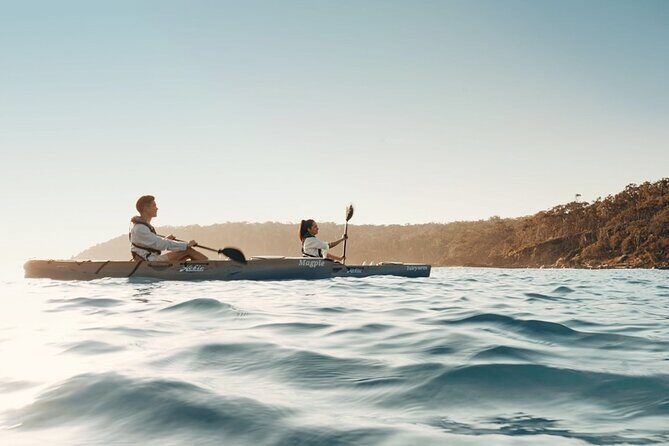 Informative Oyster Activity: Handling, Shucking & Storing + Kayaking - Final Thoughts