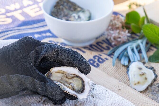 Informative Oyster Activity: Handling, Shucking & Storing + Kayaking - FAQ