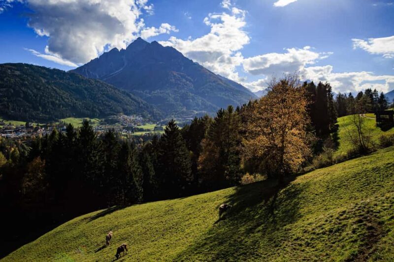Innsbruck: Panoramic hike across the Telfer Wiesen - Authenticity and Local Insights