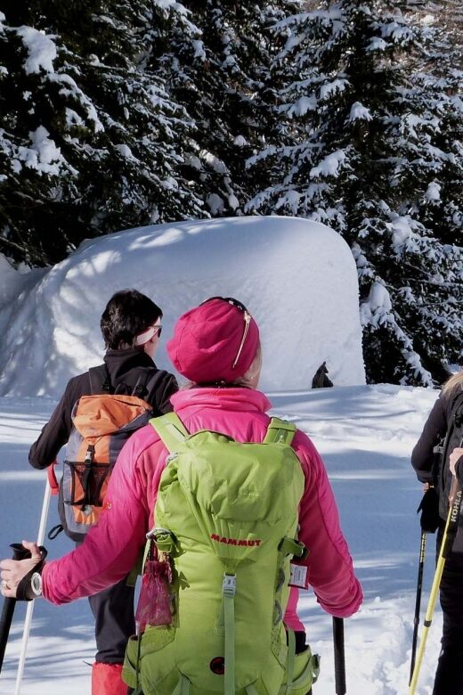 Innsbruck: Priv. Guided Snowy Mountain Hike /Snowshoe´s - A Closer Look at the Experience