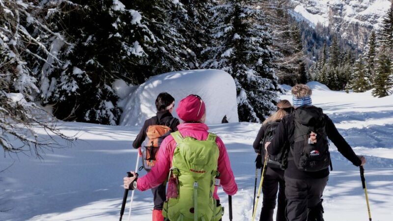 Innsbruck: Priv. Guided Snowy Mountain Hike /Snowshoe´s - Authentic Moments & Review Highlights