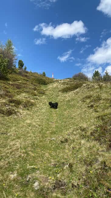 Innsbruck: Private Adventure Tour with Guide - A Closer Look at the Private Adventure Tour