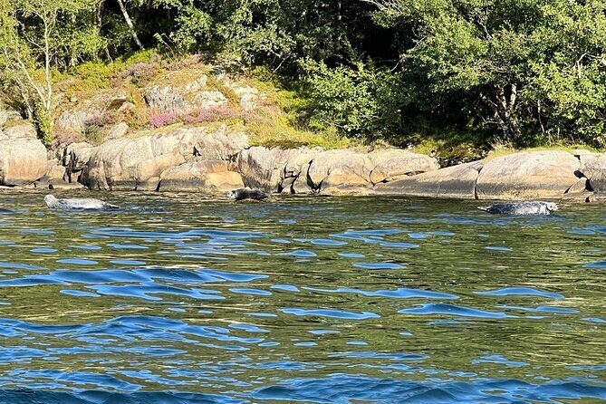 Inshore fishing in the Drangefjord - Booking and Practicalities