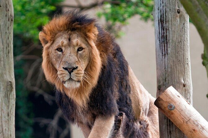 Inside Alcatraz: The Bay Your Way - Frequently Asked Questions