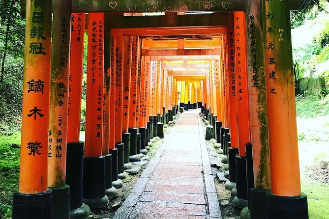 Inside of Fushimi Inari - exploring and lunch with locals - Who Should Consider This Tour?