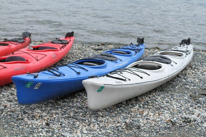 Inside Passage Sea Kayaking from Skagway - Inside Passage Sea Kayaking from Skagway: A Detailed Look