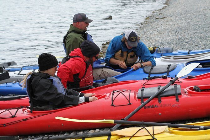 Inside Passage Sea Kayaking from Skagway - What to Expect and Practical Tips