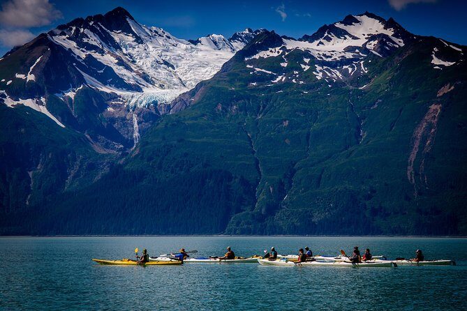 Inside Passage Sea Kayaking in Haines - An In-Depth Look at the Experience