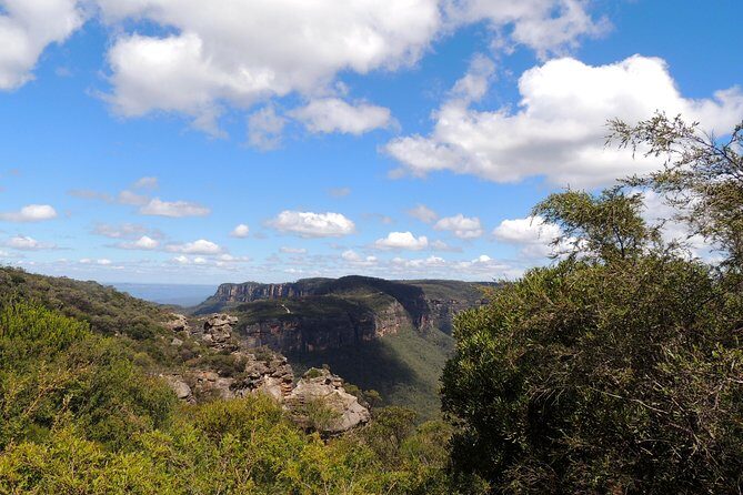 Inside the Greater Blue Mountains World Heritage - A Wildlife Safari Overnight - An Overview of the Tour Experience