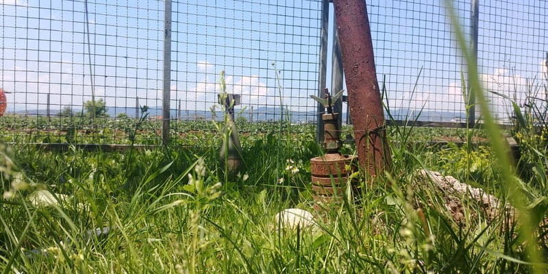 Inside the Siege: Sarajevos Story of Survival - Exploring Sarajevos Siege Sites: What to Expect