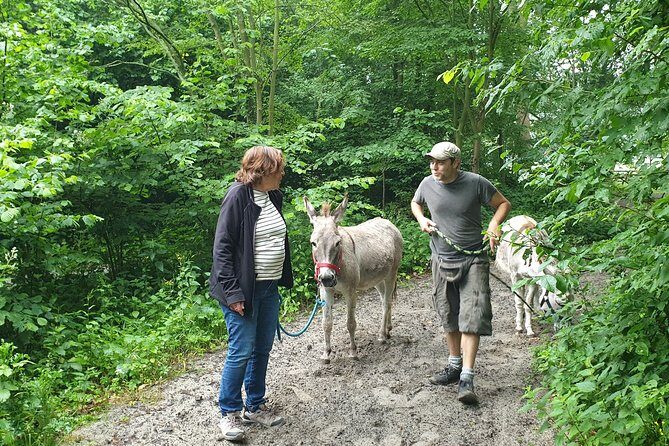 Inspirational Nature Walking Tour with Donkeys in The Hague - Discovering The Hague’s Natural Gems and Longevity Secrets