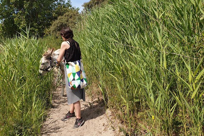 Inspirational Nature Walking Tour with Donkeys in The Hague - Who Should Consider This Tour?