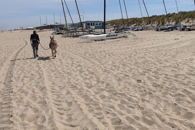 Inspirational Nature Walking Tour with Donkeys in The Hague - Final Thoughts