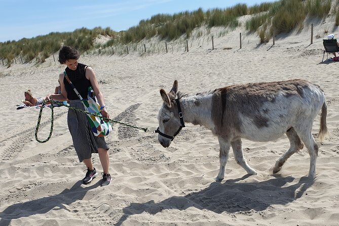 Inspirational Nature Walking Tour with Donkeys in The Hague - FAQs