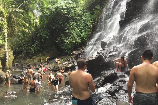 Instagram Falls Private Tour - Key Points