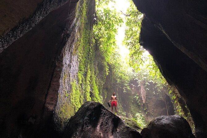Instagram Tour Popular Spot in Bali - Private & All-inclusive - Who Would Love This Tour?