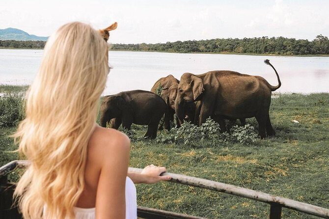 Instagramble Sri Lanka - 7 Days - Exploring the Full Itinerary: What You Can Expect