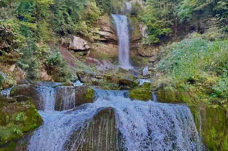 Interlaken: Boat Trip to Giessbach Falls & hike to Iseltwald - Final Thoughts: Who Is This Tour Perfect For?