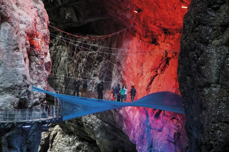 Interlaken: Canyon Swing in Grindelwald - Who Should Consider This Tour?