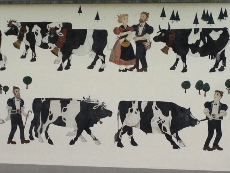 Interlaken: Cheese and Chocolate Full-Day Food Tour - Interlaken: Cheese and Chocolate Full-Day Food Tour