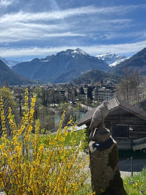 Interlaken: Guided Hike to Harder Kulm with Swiss Triathlete - Who Will Love This Tour?