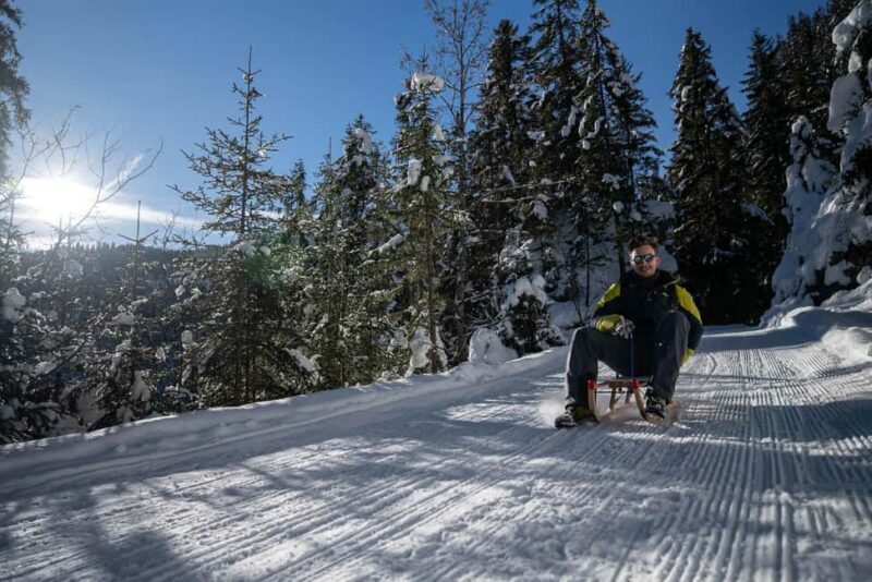 Interlaken: Guided Sledging Adventure - Key Points