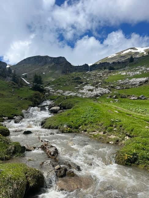 Interlaken: hike to an Alpine Lake and a Cozy Mountain Hut. - Who Will Love This Experience?