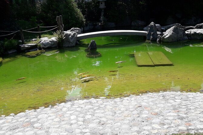 Interlaken Non Stop Intro Safari with CLOY Pier Iseltwald Private - Frequently Asked Questions