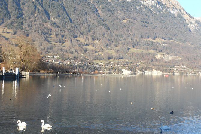 Interlaken Private Tour: Mountains Cows, Thun Lake, and Brienz Lake - A Detailed Look at the Tour Experience