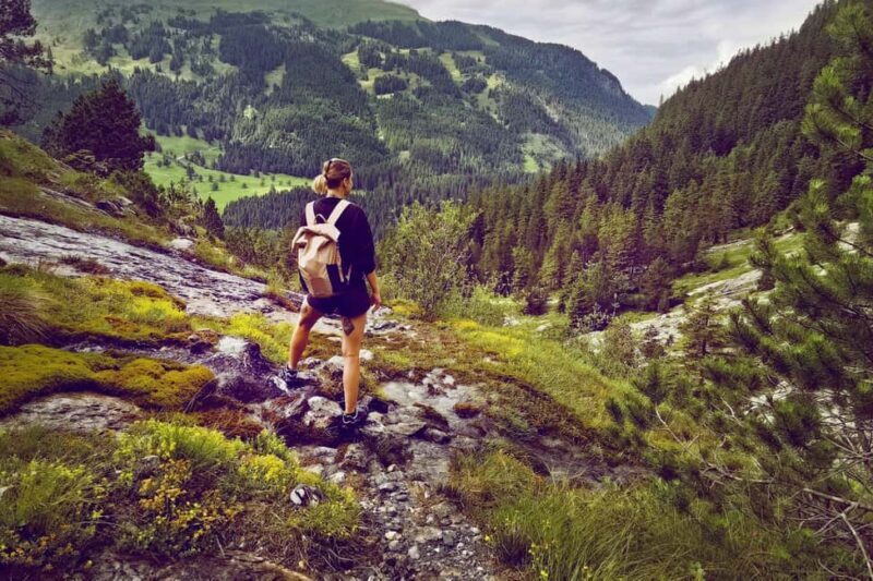 Interlaken: Rosenlaui Hike with Gorge & Alpine Hut Visit - The Value of This Experience