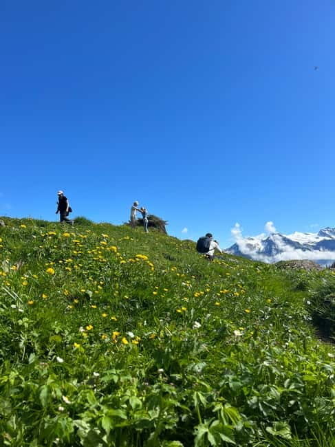 Interlaken: Scenic hiking tour from Mürren to Rotstock hut. - The Experience Provider: 2 Feet in the Alps